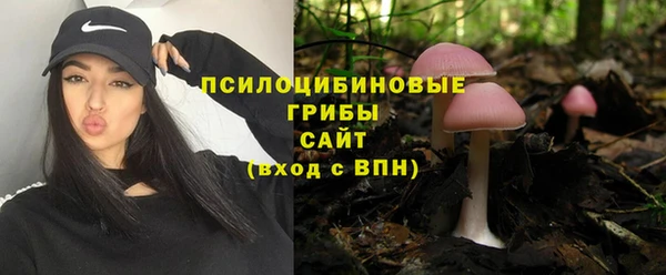 бошки Алексеевка