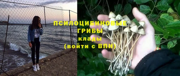 2c-b Алзамай