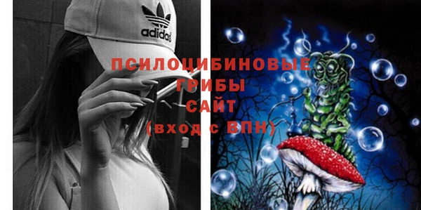 прущие крисы Алексин