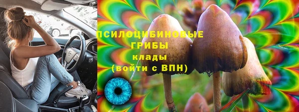 2c-b Алзамай